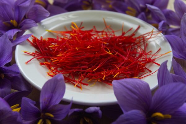 Premium Saffron - Image 3